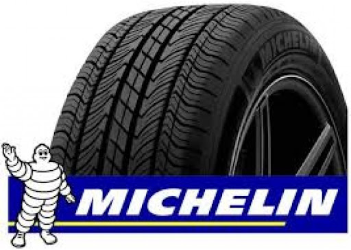 Edirne michelin